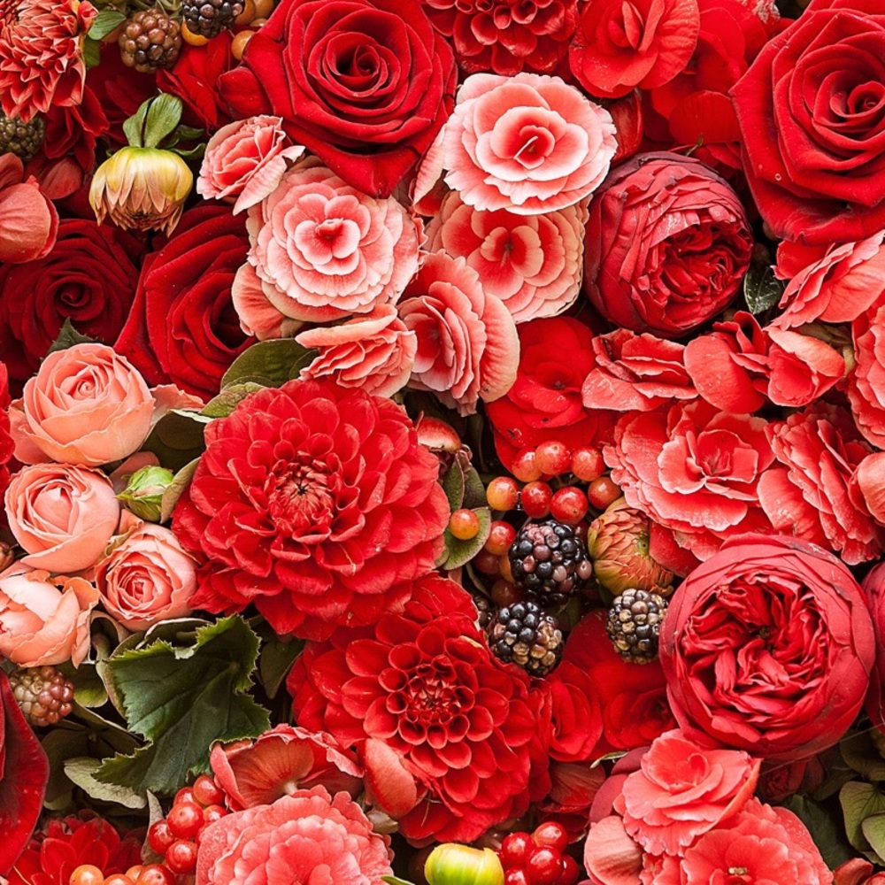 Meet your Posher, Blossom boutique